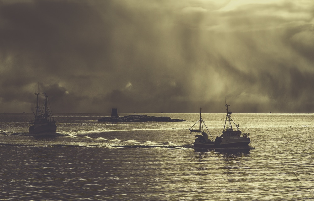 Haavind fiskeri havbruk