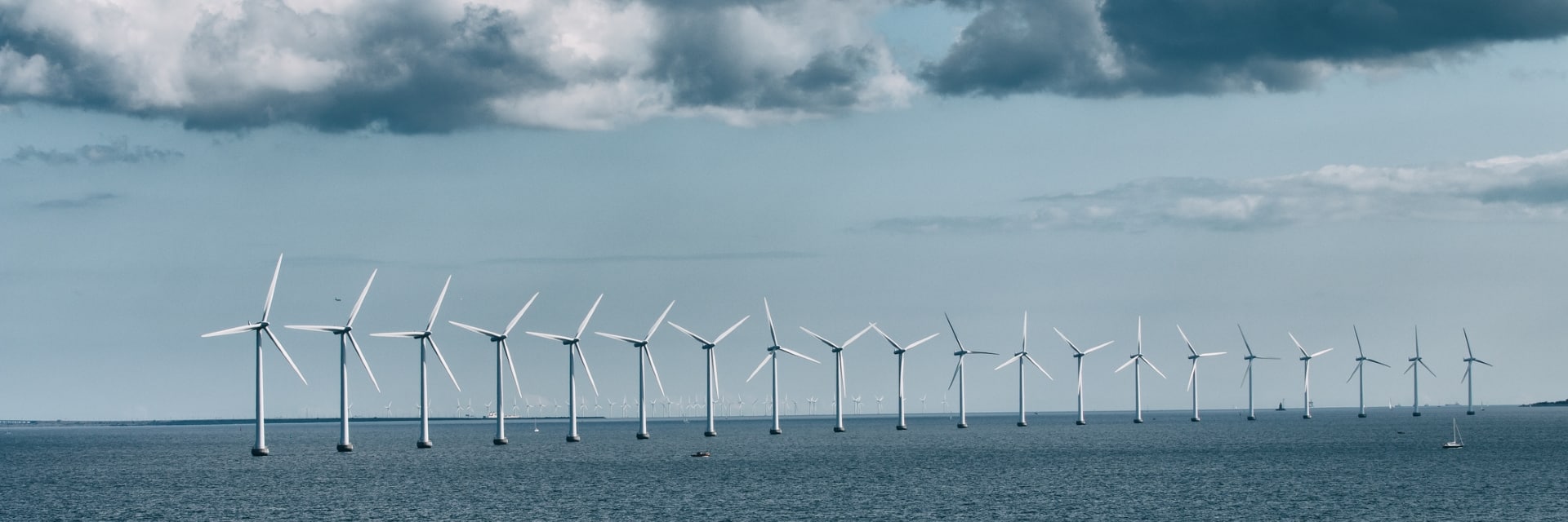 windfarm_web